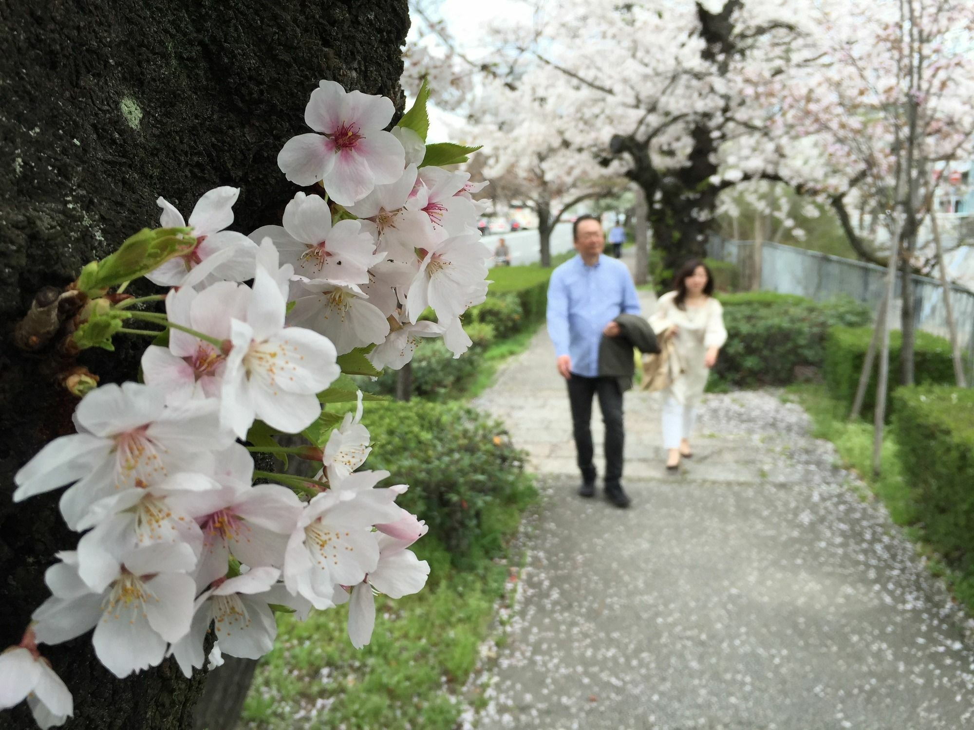 Guest House Makotoya Kyoto Exterior photo